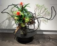 06 - Kyoko Kosaki -- Tokyo Shop.jpg 7.7K